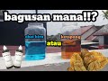 OBAT BIRU ATAU DAUN KETAPANG?| MANA YANG LEBIH BAGUS ??