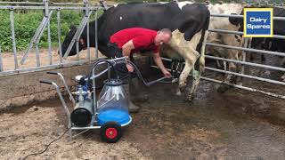 Milking with a portable milker