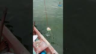 ஒத்த சங்கில் கணவாய் பிடிப்பாரா சேவாக்#shorts#tamil#meenavan#tnfishermen