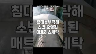 매트리스 청소 강아지 소변 얼룩  제거하기 침대세탁 #매트리스청소 #부산매트리스청소#양산매트리스청소