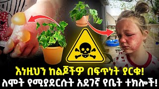 Ethiopia:- እነዚህን ከልጆችዎ በፍጥነት ያርቁ! | ለሞት የሚያደርሱት አደገኛ የቤት ተክሎች! |@Meshualekia- መሿለኪያ