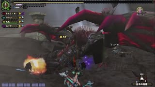 『MHFG』　至天征伐戦　黒レイヤLv9999 オートバジン