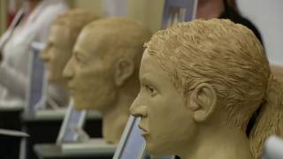 3-D Forensics