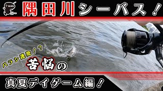 隅田川シーバス！苦悩のデイゲーム編。