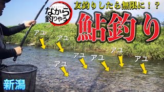 【鮎釣り　姫川】新潟の川で鮎釣りやってみた