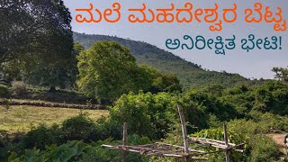 ಮಲೆ ಮಹದೇಶ್ವರ ಬೆಟ್ಟಕ್ಕೆ ಭೇಟಿ/MM Hills/ಎಪ್ಪತ್ತೇಳು ಮಲೆಯ ಮಾದಪ್ಪನ ಬೆಟ್ಟ/Male Madheswara Betta#nativenest