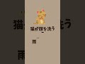 不思議な猫の迷信 猫 迷信 shots 豆知識