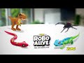 new from zuru robo alive robotic crawling spider toy moves like a real spider