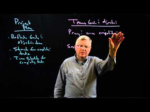 Project Plan: Goals and Objectives, Organization Project Plan: Goals and Objectives, Organization