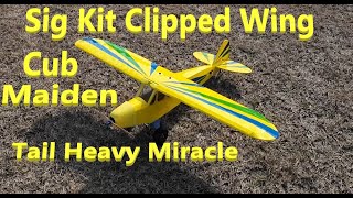 Crazy Tail Heavy Sig Kit Clipped Wing Cub Maiden By Crazy Eddy