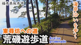 海岸沿いを歩いて東尋坊へ「荒磯遊歩道」～坂井市【動画紀行・福井県】Araiso promenade