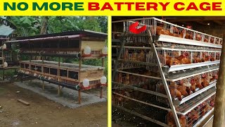 How to Start  Backyard Chicken farm in 2025 | Beginners Guide 2