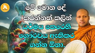 මේ මොන දේ කරන්නත් කලින් ධර්මය කෙරෙහි ගෞරවය ඇතිකර ගන්න ඕනා.| Ven Hasalaka Seelawimala thero