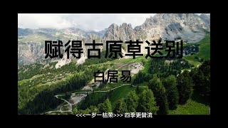 赋得古原草送别 白居易唐 新语文MV 君去草长在 岁岁盼君游-