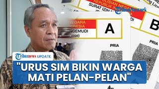 Berani di Depan Korlantas, Benny Anggota DPR Usul Perpanjangan SIM Gratis: Bikin Warga Mati Pelan