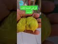 قال رسول الله صلى الله عليه وسلم