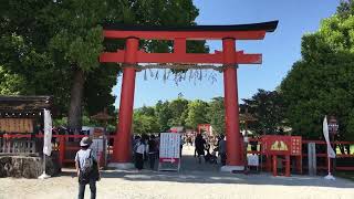 2024/5/5 上賀茂神社　賀茂競馬（かもくらべうま）Kamo Kurabeuma Horse Racing Ritual at Kamigamo Shrine