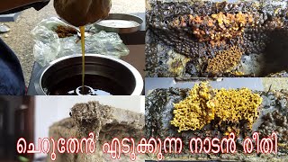 Stingless Bees Honey | Taking Cheruthen | ചെറുതേൻ എടുക്കുന്ന നാടൻ രീതി