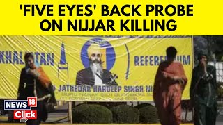 Five Eyes Back Probe In Nijjar Killing, Say Allegations Serious | Nijjar Killing Updates | N18V