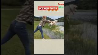 Papa ki pariyo ke gajab karname #funny #funnyvideo #funnyshorts #comedy #comedyvideo #comedyshorts