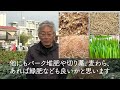 家庭菜園や農園の野菜栽培で冬の土壌改良！1月にやりたい寒起こしのコツと野菜の育て方！【農家直伝】