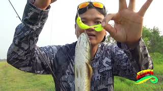 หลุมปลาช่อน หมายแบบนี้ห้ามพลาด!!!@nekfishing