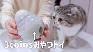 猫に3coinsのおやつトイを試してみた結果… ｜ペット用知育玩具［スコティッシュフォールド］