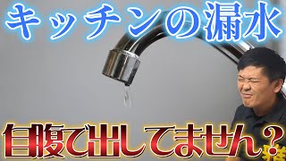 【火災保険を便利に活用】キッチンからの水漏れが発生！！水漏れでも火災保険が使えるって知ってましたか？ #138