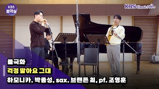 [KBS음악실] 더 하모닉스 초대석 (들국화 _ 걱정 말아요 그대 ) | KBS 250212 방송