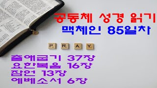 맥체인 성경 읽기 85일차 - 출애굽기 37장,  요한복음 16장,  잠언 13장, 에베소서 6장(저작권 공동체 성경 읽기)