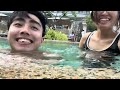 our 4d3n in cebu whale shark watching tumalog waterfalls u0026 bohol tour 🌏🧳🛩️