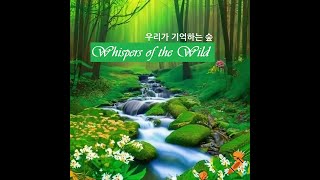 우리가 기억하는 숲. Whispers of the Wild. Official MV