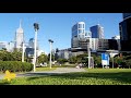 Milk Tea + Sunlight + Green Grass + Buildings = Perfect!