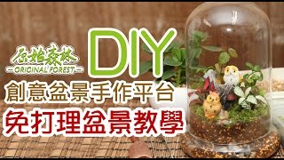 手作平台 【密封玻璃罩盆景DIY 教學】