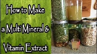 How to Make a Multi Vitamin and Mineral Extract