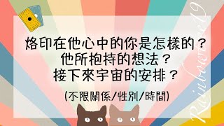 【彩虹樹洞🌈能量塔羅占卜】烙印在他心中的你是怎樣的？他所抱持的想法？接下來宇宙的安排？(不限關係/性別/時間)