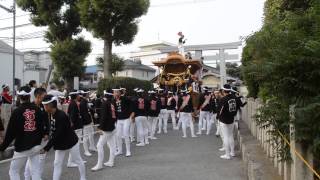 2014和泉市府中だんじり祭り本宮　市辺町、宮入り①（平成26年10月12日）