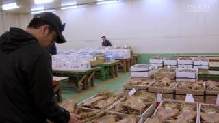 Tsukiji Wonderland(築地ワンダーランド)本編未使用映像―＃4塩干物セリ場―