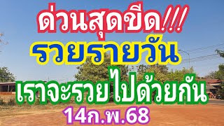 ด่วนสุดขีด!!! รวยรายวัน เราจะรวยไปด้วยกัน 14ก.พ.68