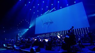 FMF 2018 | Video Games Music Gala | ABZU Delphinus delphis