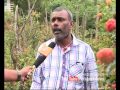 mulberry farming in kanthalloor money time 30 april 2015