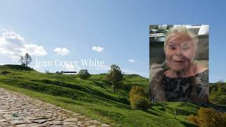 Steuerle - The Lives We Celebrated in May 2025