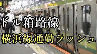 【夜ラッシュ】横浜線通勤ラッシュ夕方の混雑 長津田・成瀬駅 Japan commuter train crowded in rush hour