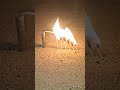 matchstick amazing experiment bijali bomb testing fireworks experiment shortsfeed shorts