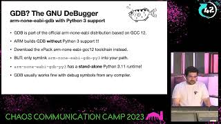 Debugging Microcontrollers