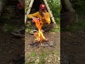 bushcraft skills survival camping outdoors bushcraft forest