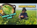 PANEN CABE SAMPAI SATU TAS HERMES || LANGSUNG MASAK