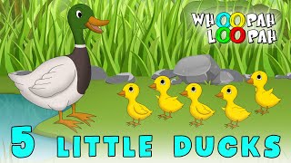 Five Little Ducks | Nursery Rhymes and Kids Song | Whoopah Loopah
