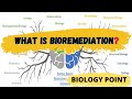 what is bioremediation || definition of bioremediation || bioremediation | bioremediation definition