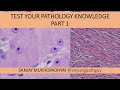 Test Your Pathology Knowledge, Part 1